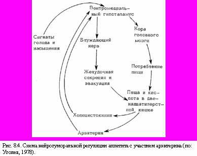 Теория адекватного питания и трофология - _26.jpg