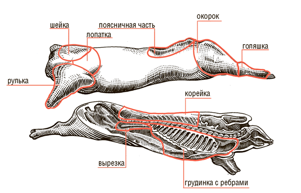 Сам себе шеф-повар. Как научиться готовить без рецептов - i_008.png