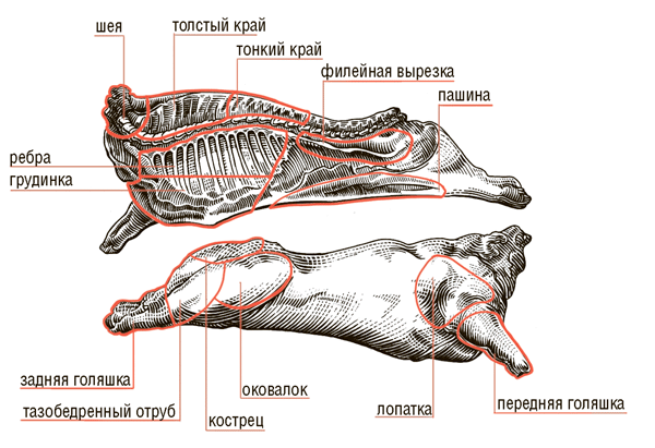 Сам себе шеф-повар. Как научиться готовить без рецептов - i_009.png