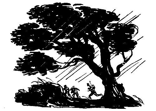 Лето в Калиновке - pic_14.png