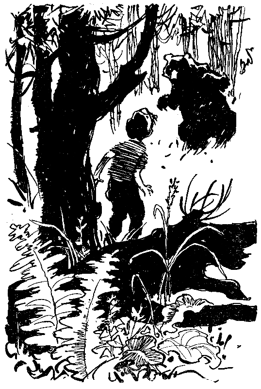 Лето в Калиновке - pic_5.png