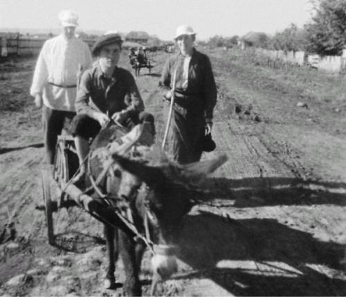 Лосев - i_058.jpg