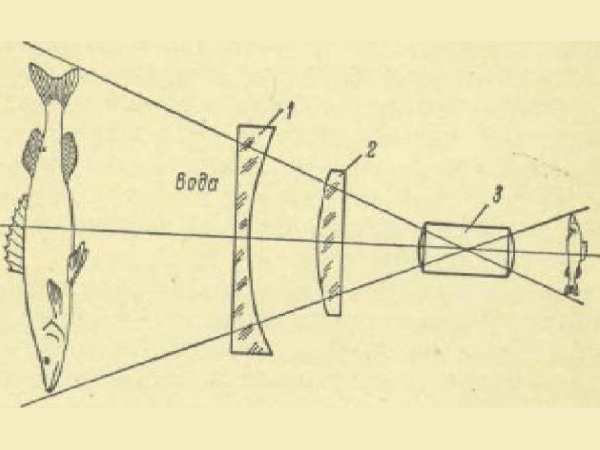Объектив под водой - _15.jpg