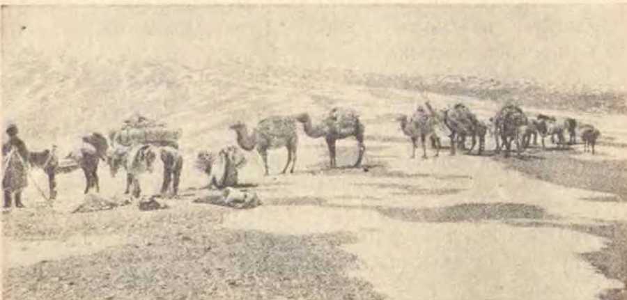 В заоблачной стране - i_015.jpg