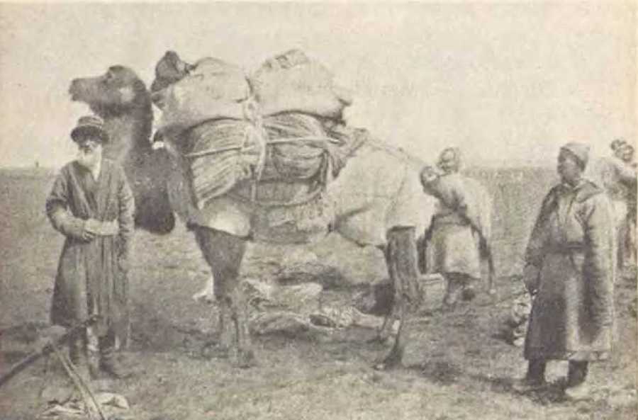 В заоблачной стране - i_017.jpg