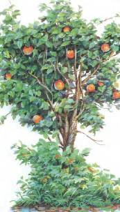 С Новым годом! Стихи и сказки - _66.jpg