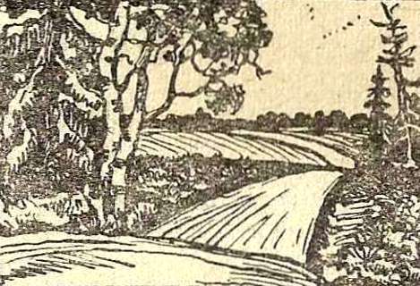 Сборник лирики 30-х годов - i_005.jpg