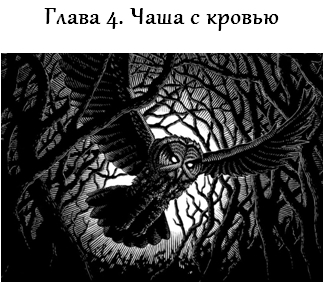 Рассказы Ведьмака: Ведьмы (ЛП) - _4.jpg