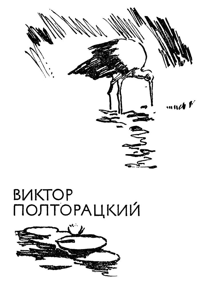 След человеческий - _2.jpg