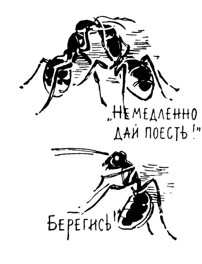 Алло, робот - _20.jpg