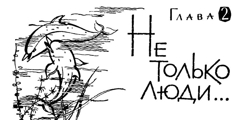 Алло, робот - _19.jpg