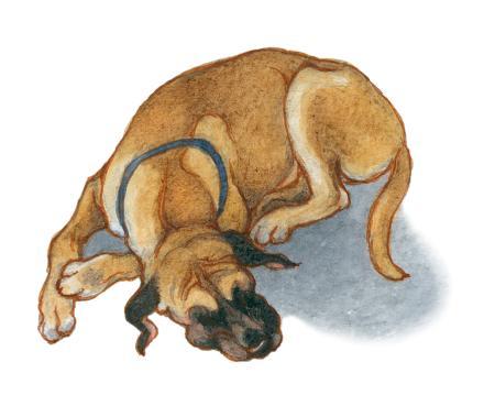 Маленький лорд Фаунтлерой (пер. Демуровой) - i_001.jpg