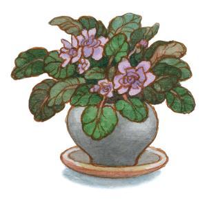 Маленький лорд Фаунтлерой (пер. Демуровой) - i_004.jpg