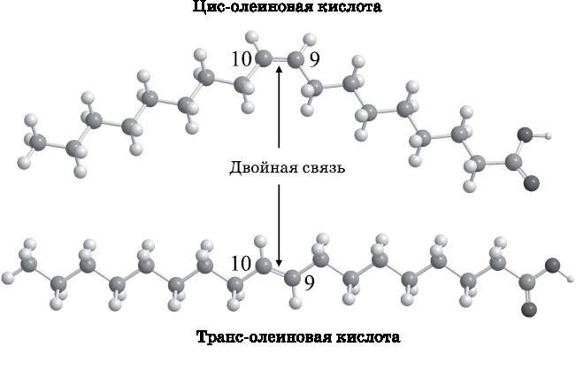 Абсолютный минимум. Как квантовая теория объясняет наш мир - i_106.jpg