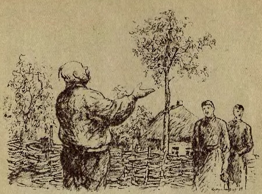 Тарас Бульба (иллюстрации Кукрыниксов) - _0.jpg