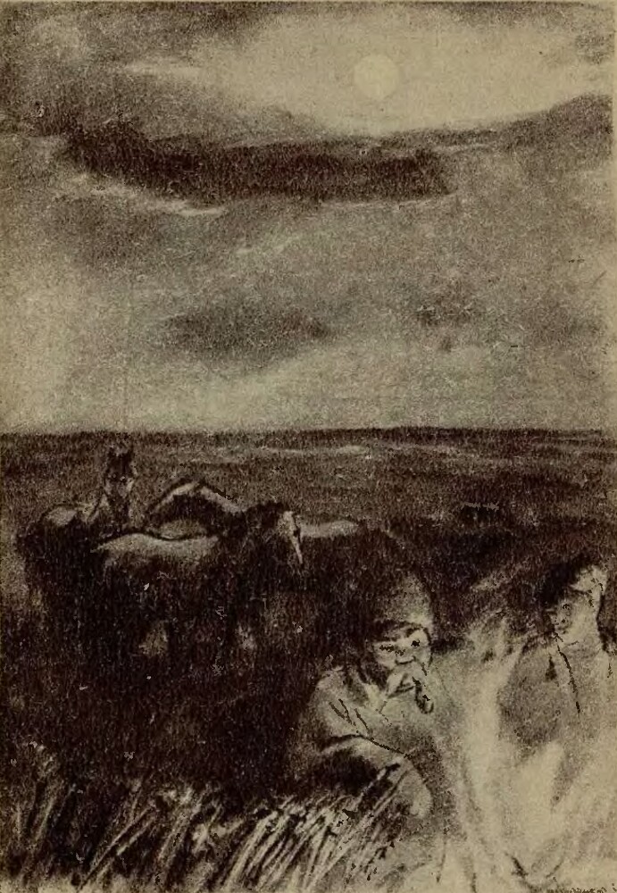 Тарас Бульба (иллюстрации Кукрыниксов) - _2.jpg