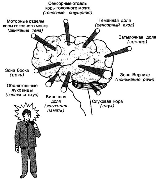 Неужели я гений? - _5.jpg