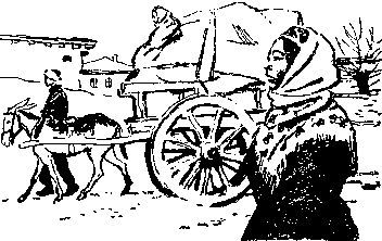 Чабан с Хан-Тенгри - i_026.jpg