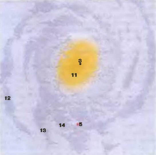 Знание-сила, 2003 № 05 (911) - img_61.jpg