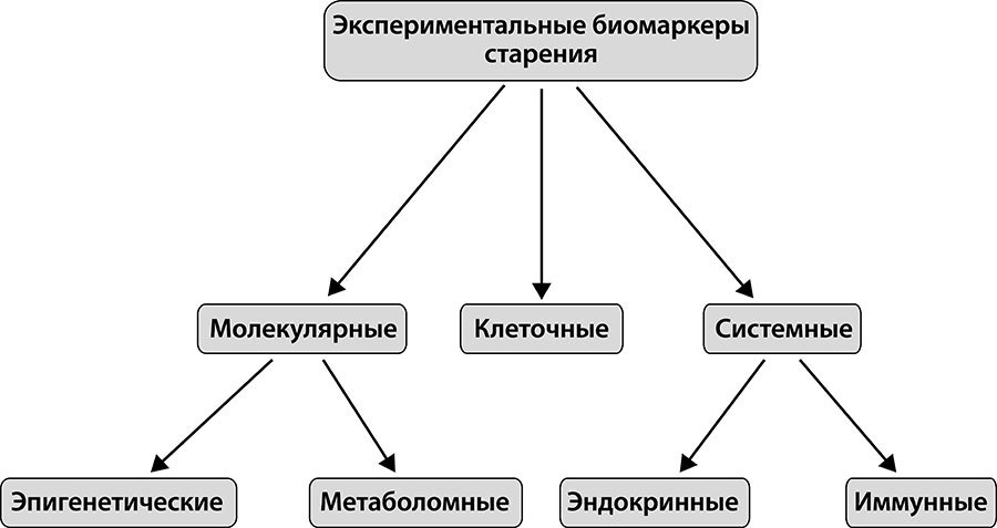 Как победить свой возраст? Восемь уникальных способов, которые помогут достичь долголетия - i_001.jpg