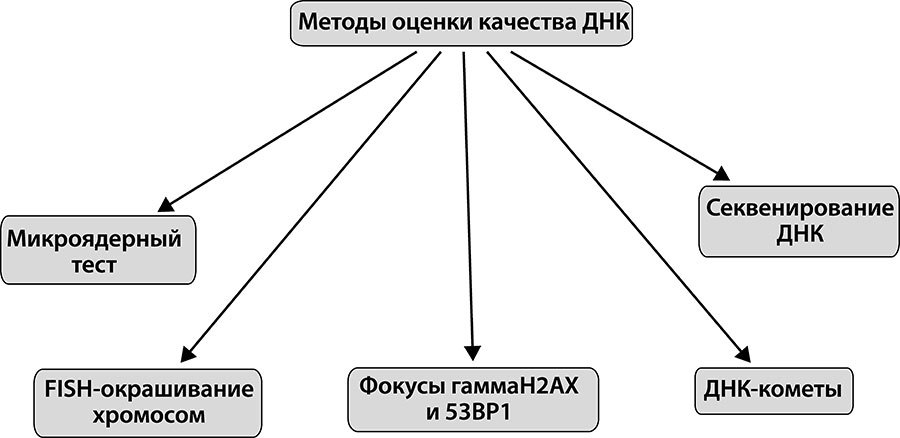 Как победить свой возраст? Восемь уникальных способов, которые помогут достичь долголетия - i_003.jpg