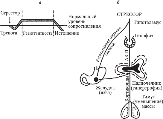 Медицинская экология - i_002.png