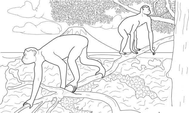 Диагностика и лечение позвоночника. Уникальная система доктора А. М. Уриа - i_002.jpg