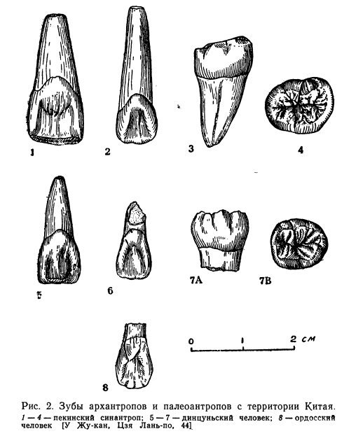 Древние китайцы: проблемы этногенеза - _1372834434_41f1.jpg