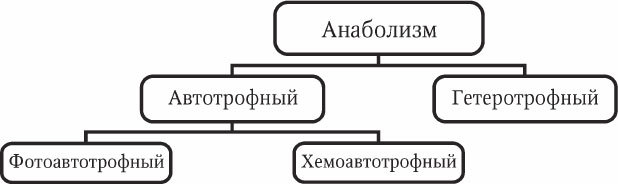 Антропология и концепции биологии - _08.jpg