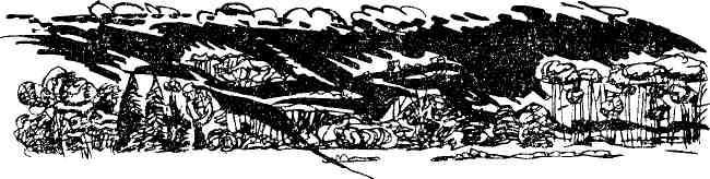 Колокольчик в тайге - img_24.jpeg