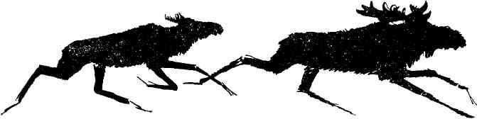 Колокольчик в тайге - img_26.jpeg