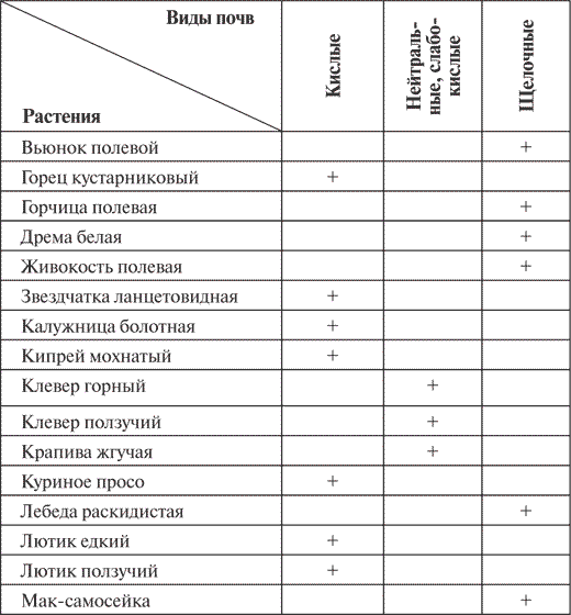 Украшаем сад своими руками. Практичные советы для бережливых садоводов - i_001.png