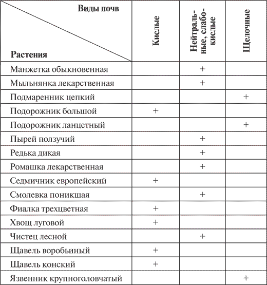 Украшаем сад своими руками. Практичные советы для бережливых садоводов - i_002.png