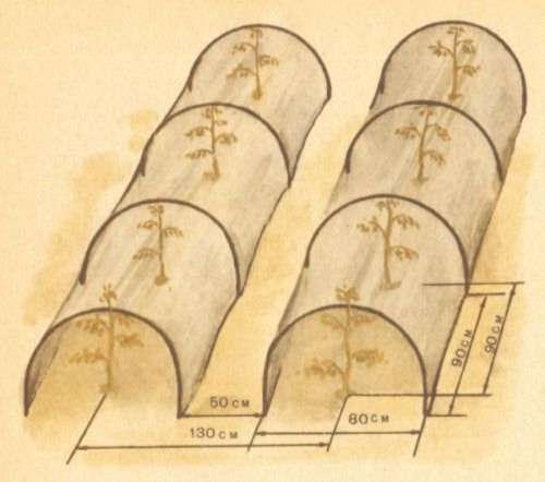 Томат на приусадебном участке и дома - i_010.jpg