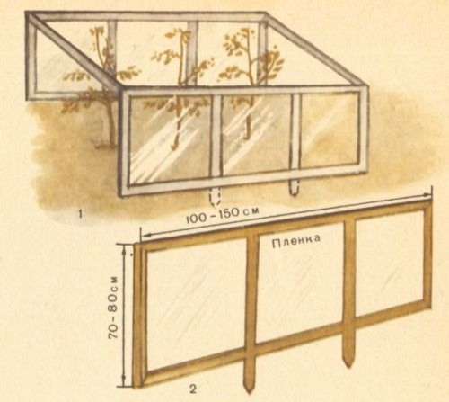 Томат на приусадебном участке и дома - i_011.jpg
