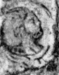 Новая Хронология Египта - II - vii92.jpg