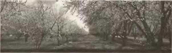 Знание-сила, 2002 №07 (901) - pic_47.jpg