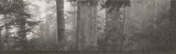 Знание-сила, 2002 №07 (901) - pic_48.jpg