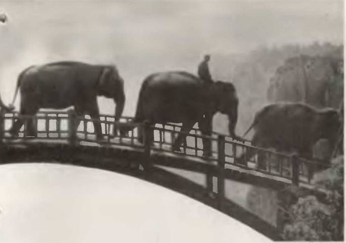 Знание-сила, 2002 № 11 (905) - pic_49.jpg