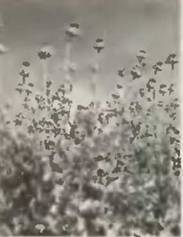 Знание-сила, 2002 № 11 (905) - pic_85.jpg