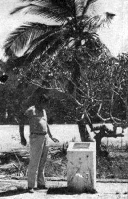 Люди и атоллы - i_008.jpg