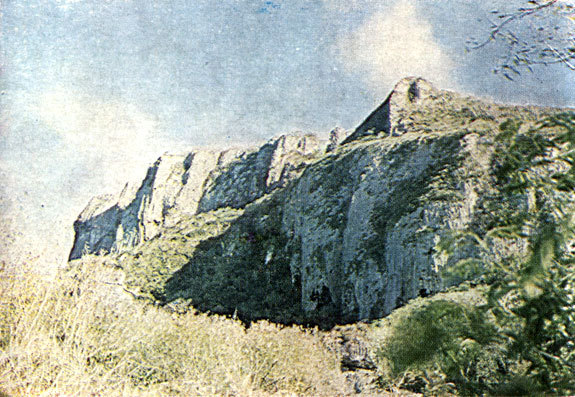 Люди и атоллы - i_015.jpg