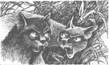 Обещание Метеора. Прозрение - pic_16.jpg