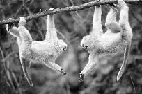 Гармоничное развитие вашего ребенка - i_022.jpg