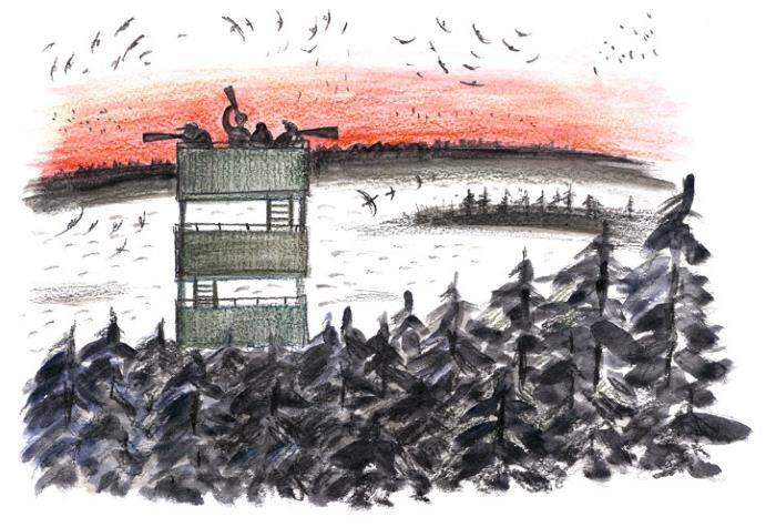 Криволапыч - i_006.jpg