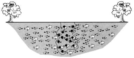 Том13. Абсолютная точность и другие иллюзии. Секреты статистики - _84.jpg