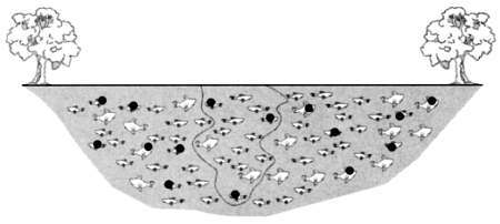 Том13. Абсолютная точность и другие иллюзии. Секреты статистики - _85.jpg