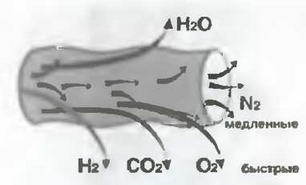 Знание - сила, 2003 № 09 (915) - img_17.jpg