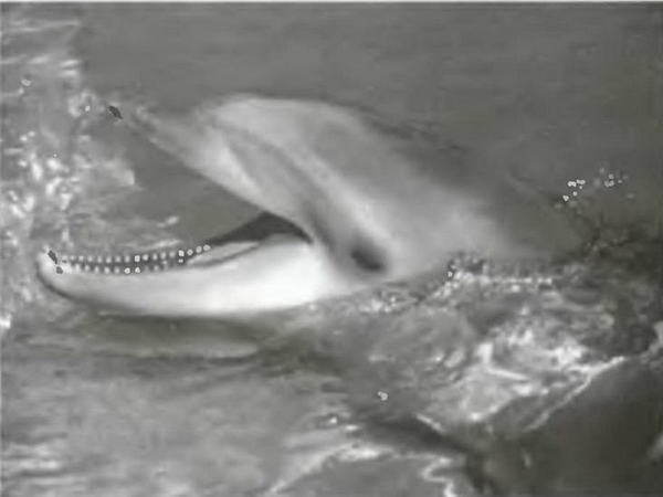 Знание - сила, 2003 № 09 (915) - img_9.jpg