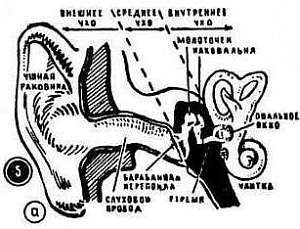 Шаг за шагом. Усилители и радиоузлы - _145.jpg_0